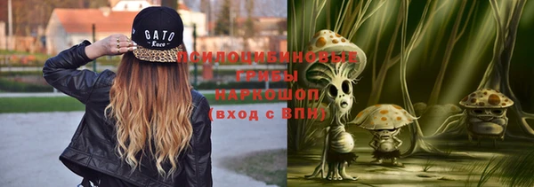 амф Алексеевка