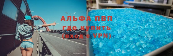 стафф Алзамай