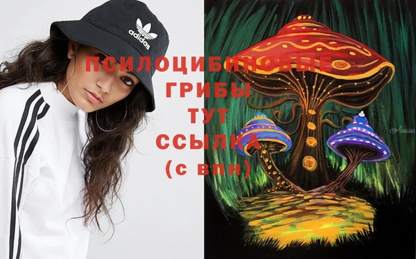 винт Алексин