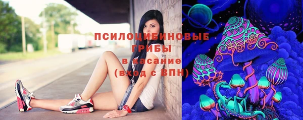 амф Алексеевка