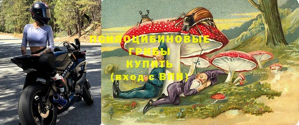 стафф Алзамай