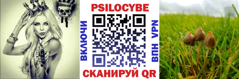 Галлюциногенные грибы Magic Shrooms  Арамиль 